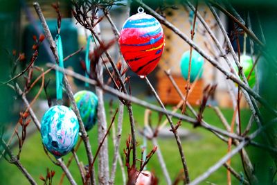Close-up of multi colored object