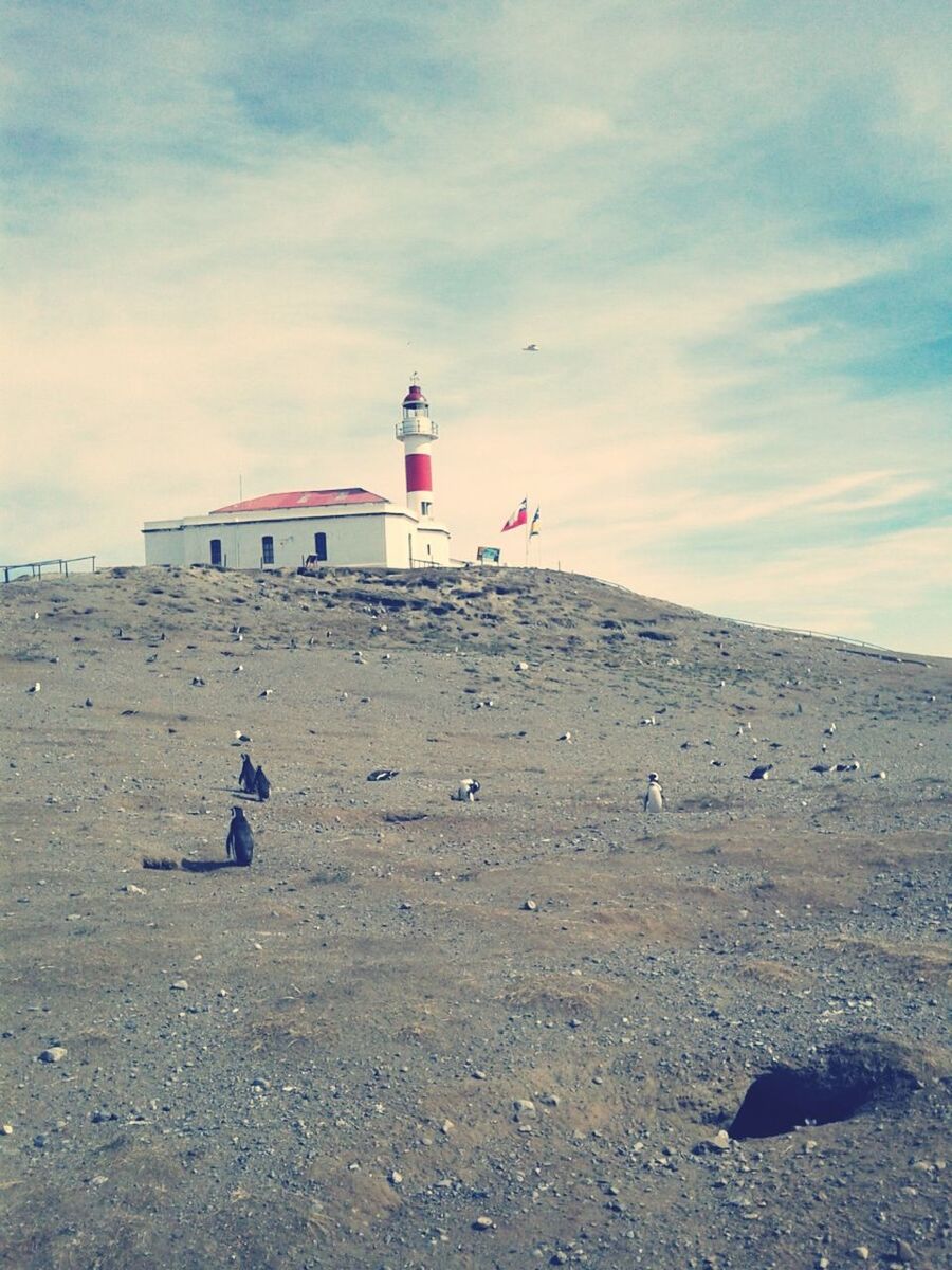 Faro Isla Magdalena