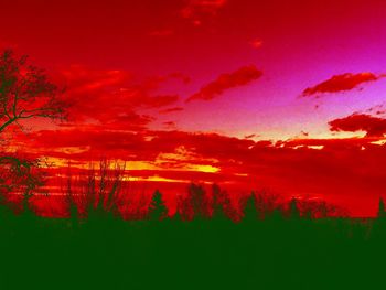 Scenic view of silhouette trees against sky during sunset
