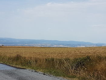 Scenic view of field against sky