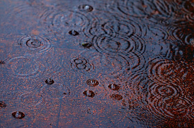 High angle view of raindrops falling in puddle