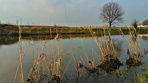 Scenic view of lake against sky