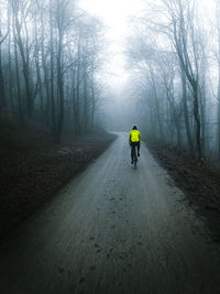 Rear view of man cycling on road in forest
