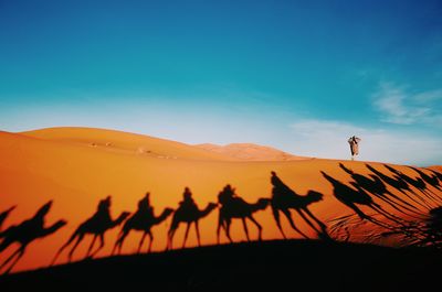 Shadow of camel train on sand against sky