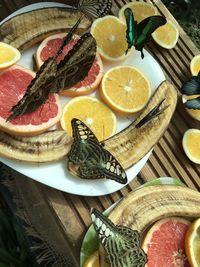 Beautiful butterflies are eating fruits 