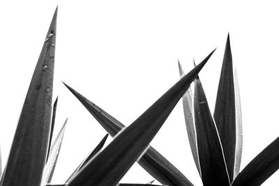 Close-up of built structure against sky