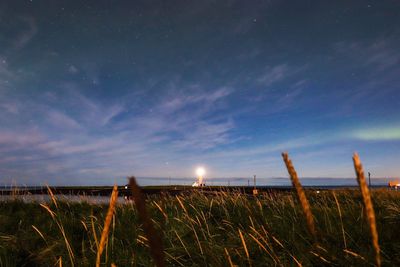 Scenic view of field against sky at night