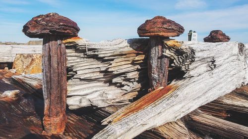 Stack of logs withe rusty spikes against sky