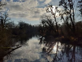 Scenic view of lake in forest against sky