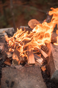 Close-up of bonfire at night