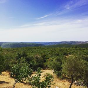 Scenic view of green landscape against sky