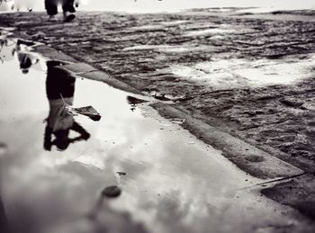 Close-up of puddle on beach