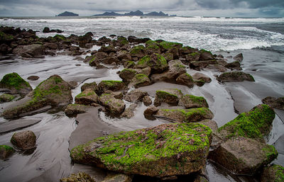 View of rocky beach