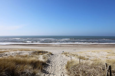 Scenic view of beach against sky
