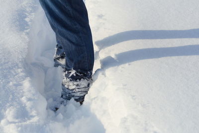 Low section of person on snow covered land