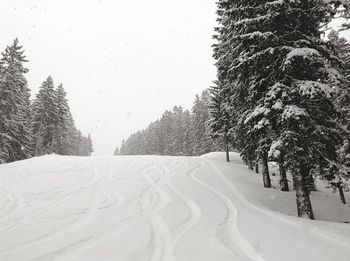 Scenic view of snow covered landscape