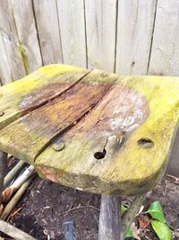 High angle view of tree stump in forest