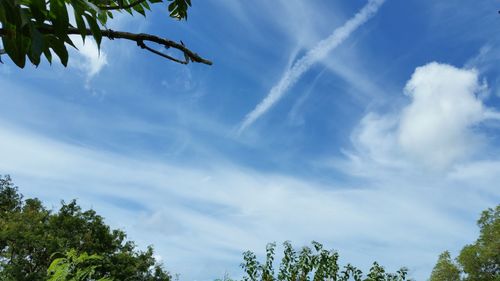 Low angle view of trees against cloudy sky