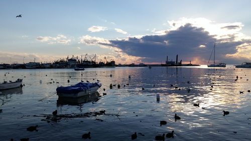 Reflection of birds in water at sunset