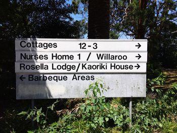 Close-up of information sign against trees