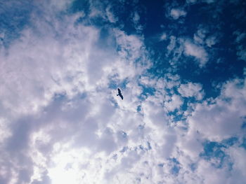 Low angle view of airplane flying in sky