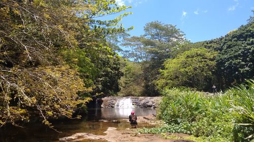Man standing amidst trees against sky