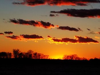 Silhouette trees against sky during sunset