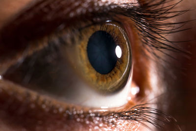 Extreme close-up of human eye