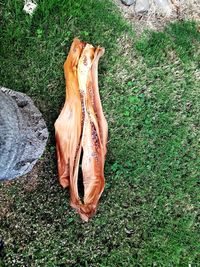 High angle view of bread on field