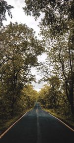 Road amidst trees against sky