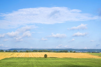 View to a farmland in summer