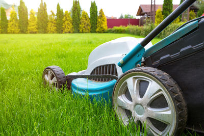 Car on field