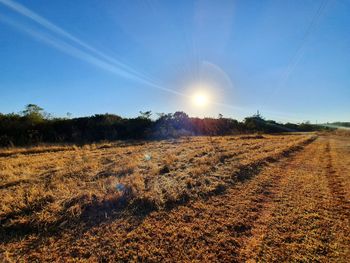 Scenic view of field against bright sun