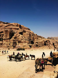 Tourists on horses at petra