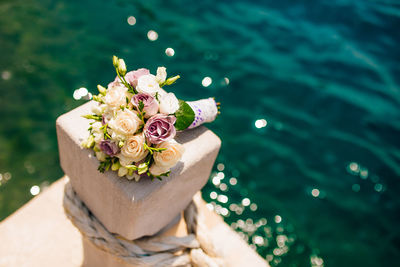 High angle view of flowering plant in swimming pool