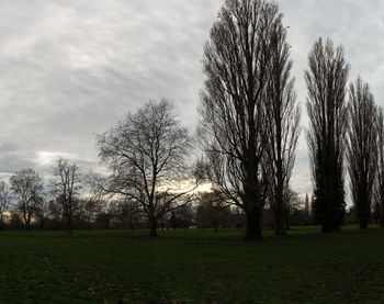 Bare trees on field against sky