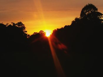 Silhouette of trees at sunset