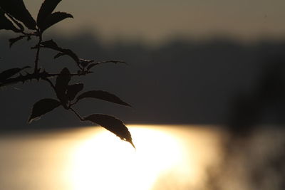 Close-up of sun during sunset