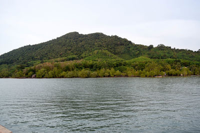 Scenic view of lake by trees against sky