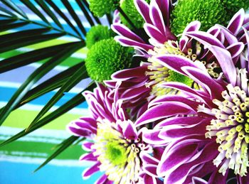 Close-up of flowers