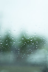 Close-up of water drops on glass