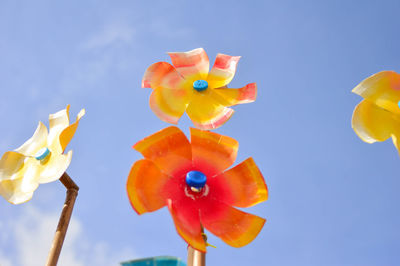 Low angle view of multi colored flowers against blue sky