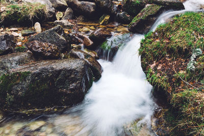 View of waterfall in forest