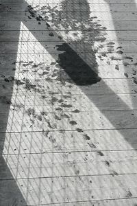 High angle view of shadow on sand