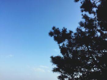 Low angle view of trees against clear blue sky