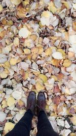 Low section of person standing on fallen leaves