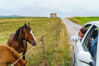 Horse cart