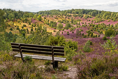 Bench by trees on field against sky