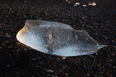 Close-up of ice