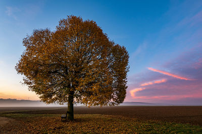 Scenic view of field against sky during sunset